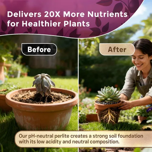 Miniatura 3 de Perlita Profesional Grande 2.2 Cuartos Grado Medio para Plantas de Contenedor y Jardín Aditivo de Suelo Ligero pH Neutro Fabricado en EE.UU