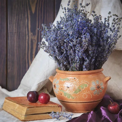 Miniatura 6 de Timoo - Paquetes de lavanda seca 100 % naturales, flores secas de lavanda para decoración del hogar, accesorios para fotos, fragancia del hogar