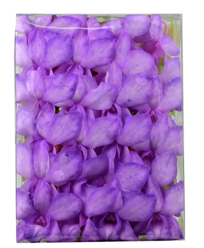 Miniatura 8 de Miami Fresh Orchid Flower OrchidClub USA Sunne Tropical Cabeza de floración suelta DIY Lei comida bebida decoración púrpura (2 x 50 púrpura)
