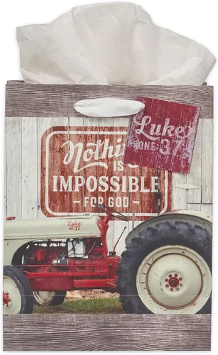Miniatura 44 de Christian Art Gifts Bolsa de regalo grande de las Escrituras de Paisaje con tarjeta de felicitación y juego de papel de seda para niños: cada