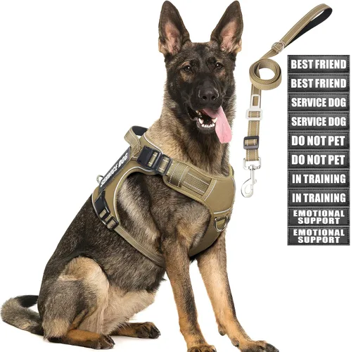 Miniatura 9 de Juego de arnés táctico para perros y correa para perros grandes, chaleco de perro de servicio resistente sin tirones y 10 parches con cinturón