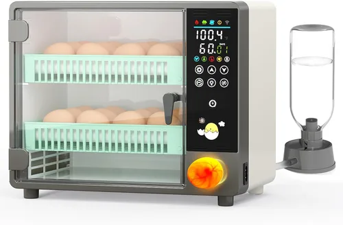 Incubadoras Chalixion para incubar 24 huevos, incubadora de huevos con volteador automático de huevos, humidificador ultrasónico atomizado,