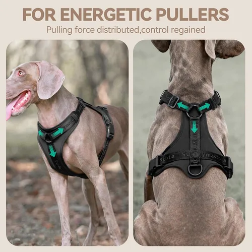 Miniatura 2 de Arnés para perro sin tirones con licra, dispersión de fuerza de tres puntos y acolchado 3D, malla transpirable ajustable para perros pequeños