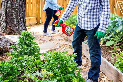Miniatura 3 de Sevin Asesino de insectos listo para usar, botella de 1 cuarto de galón