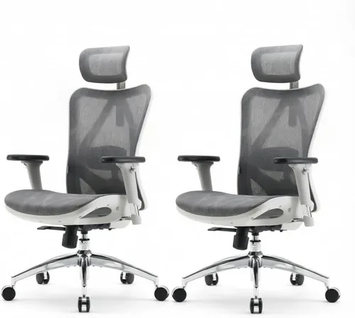 Miniatura 16 de SIHOO M57 Silla de oficina ergonómica de malla, silla de escritorio con respaldo alto para el hogar con reposabrazos 3D, soporte lumbar y Negro