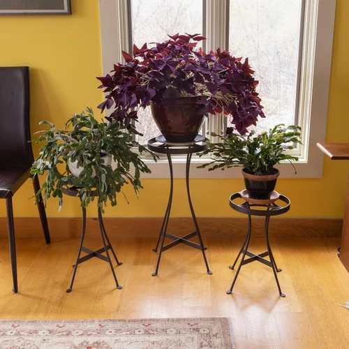 Miniatura 5 de Soporte para plantas Tara de 24" de alto