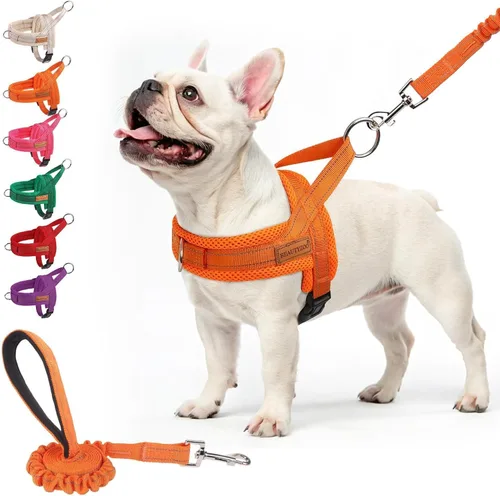 Miniatura 25 de BEAUTYZOO Arnés para Perros Pequeños, Juego de Arnés y Correa sin Tirones, Arnés de Chaleco para Cachorros Suave a Prueba de Escapes con Manija
