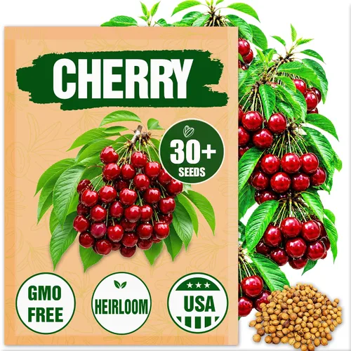 Semillas de cerezo prémium para plantar, más de 30 semillas de cerezo dulce de reliquia para jardín doméstico, semillas de árboles frutales para