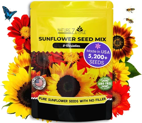NatureZ Edge 5200+ semillas de girasol para plantar paquete de variedad a granel, obtenga más semillas de girasol para plantar, desde girasoles