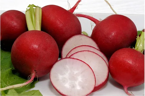 100 Semillas Campeón Rábano Sabroso Gourmet Jardín Vegetal Natural Sin OGM Grandes Bellezas rojas con gran sabor ¡Un verdadero campeón!