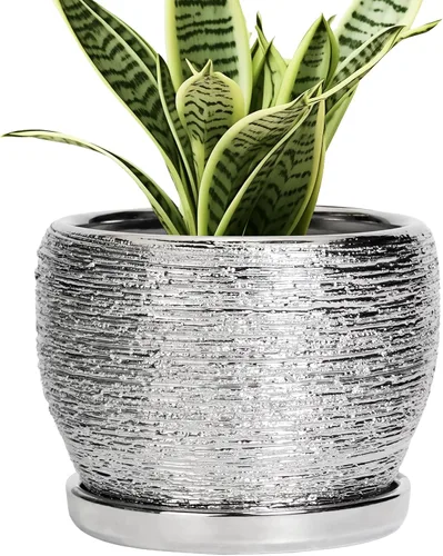 Miniatura 26 de SQOWL Macetas de cerámica – Maceta de 6 pulgadas con orificio de drenaje y bandeja, maceta redonda para plantas de interior, maceta decorativa