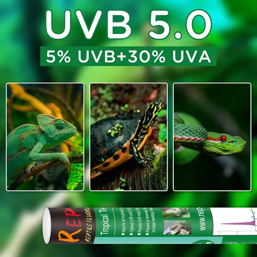 Miniatura 5 de T8 UVB - Luz de reptil 15 W 5.0-2 unidades, bombilla UVA UVB para reptiles, tubo de lámpara UVB para reptiles para dragón barbudo