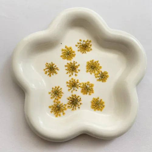 Miniatura 3 de Ammi majus - Paquete de 100 flores secas prensadas naturales para hacer joyas de resina, fabricación de jabón y velas, álbumes de recortes DIY