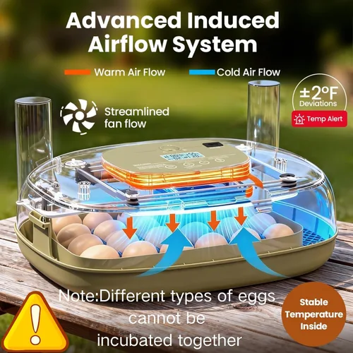 Miniatura 2 de Incubadoras para incubar huevos, capacidad de 24 huevos con giro automático, control preciso de temperatura y humedad, vela de huevo, ventilación