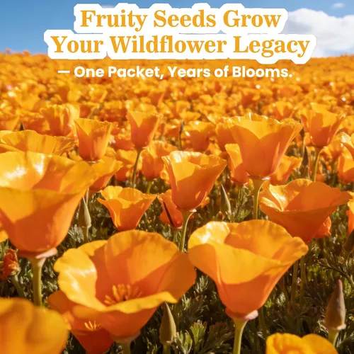 Miniatura 7 de Eschscholzia californica - Semillas de amapola de California (0.35 oz – más de 10.000 semillas) – Flores silvestres nativas a granel para plantar