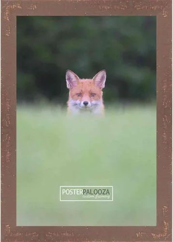 Miniatura 27 de Poster Palooza Marco de fotos tradicional de madera maciza de color dorado antiguo de 9.5 x 13 pulgadas con plexiglás acrílico UV, parte trasera