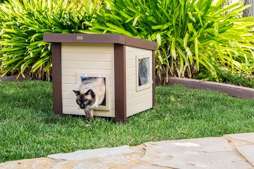 Miniatura 5 de New Age Pet ECOFLEX Albany - Casa para gatos al aire libre, resistente a la intemperie, solapas de doble puerta, 21 pulgadas de ancho x 20 pulgadas