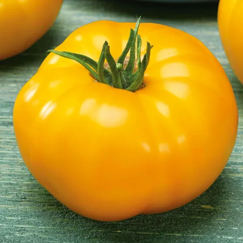 Miniatura 36 de Eden Brothers Semillas de tomate – Semillas de caqui sin OMG para plantar, paquete Semillas de vegetales de bajo mantenimiento, plantas durante