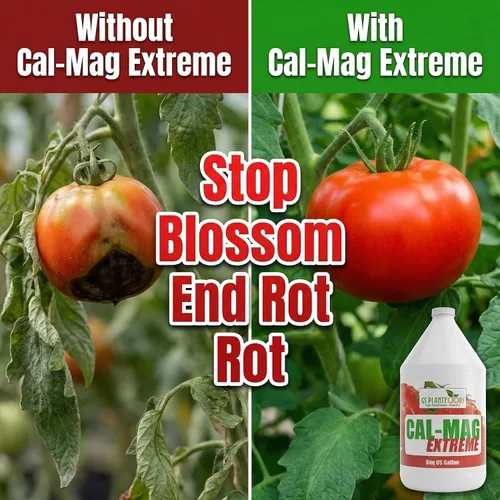 Miniatura 3 de GS Plant Foods Cal-Mag Extreme Liquid Fertilizante líquido de 1 galón con suplemento de calcio, magnesio, hierro y azufre, corrige las deficiencias