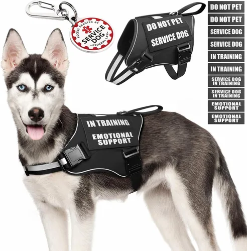Miniatura 24 de Arnés de chaleco para perro de servicio+Etiqueta de identificación+10 parches, etiqueta de perro de servicio metálica y chaleco reflectante de apoyo