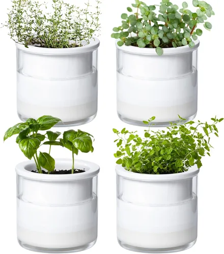 Miniatura 11 de Maceta auto-regante Phoenix Vine de 6 pulgadas, diseño en terracota blanca para plantas, maceta cilíndrica de terracota interior con jarrón de Blanco