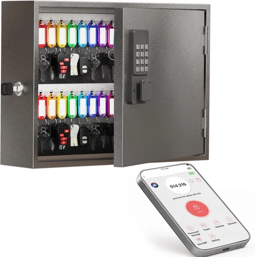 Caja de llave inteligente WeHere, gabinete de llaves montado en la pared con 60 etiquetas de llave, control por aplicación Bluetooth, desbloqueo OTP