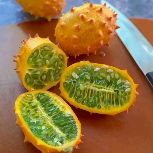 Miniatura 6 de Semillas de gelatina de melón para plantar – 30 semillas de pepino con cuernos africanos – Semillas de melón exóticas para cultivar jardín al aire