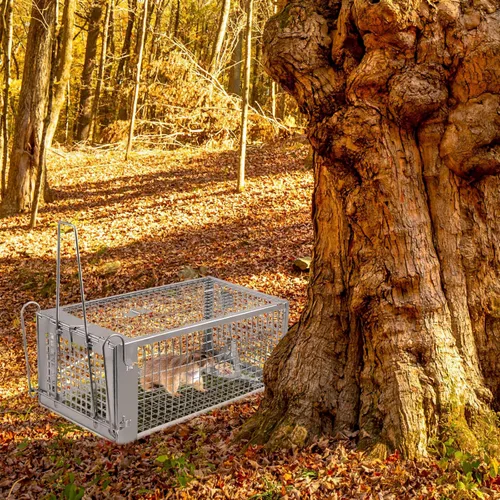 Miniatura 2 de Trampas humanas para ratas, captura y liberación en vivo para interiores y exteriores, jaula de roedores para ardillas, ratones, ratas pequeñas