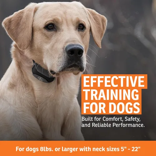 Miniatura 3 de SportDOG SportTrainer - Entrenador remoto - Control fiable fuera de la correa - Pantalla OLED - Collar de entrenamiento impermeable para perros