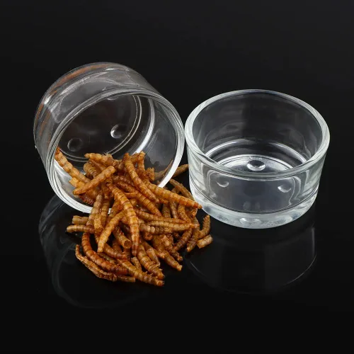 Miniatura 4 de Tazón de vidrio para alimentación de reptiles, 4 unidades, plato de agua para lagarto, araña, maíz, serpiente, ciempiés, escorpión, grillos pequeños