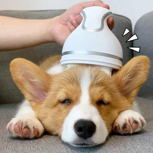 Miniatura 6 de Petlex Masajeador eléctrico del cuero cabelludo para gatos, masajeador portátil de cabeza de mascotas, masajeador giratorio automático para el Blanco