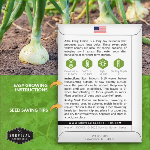 Miniatura 2 de Semilla de cebolla Ailsa Craig para plantar, 1 paquete con instrucciones para plantar y cultivar cebollas amarillas dulces de día largo para tu