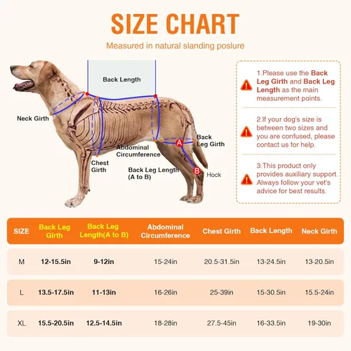Miniatura 6 de Perro ACL Brace pata trasera – Soporte de pierna trasera ajustable transpirable con gel de compresión caliente/frío para artritis, hinchazón