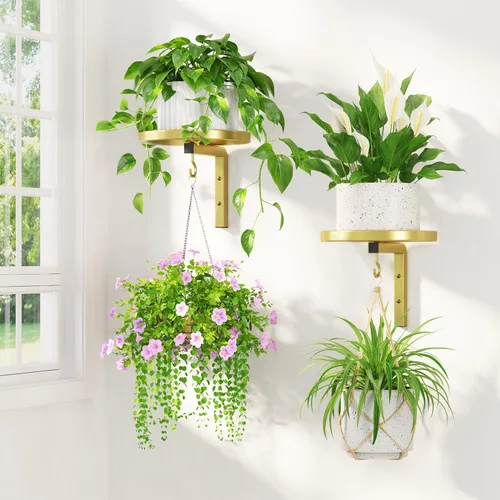 Miniatura 10 de LASZOLA 2 piezas de estantes de pared para plantas con ganchos para macetas de interior, soportes flotantes de ventana de metal resistente para Negro