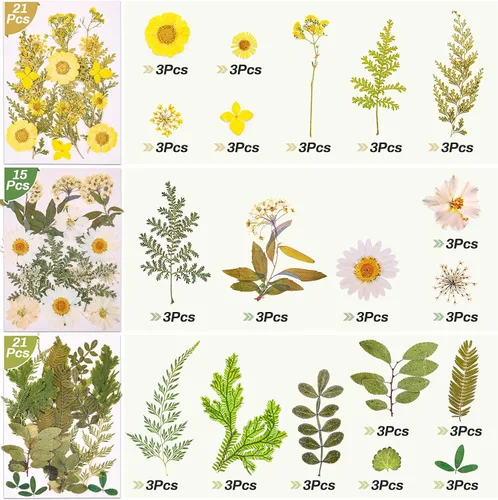 Miniatura 5 de 297 calcomanías de mariposa de flores secas prensadas para resina, flores secas naturales reales, hojas a granel con pinzas para suministros de 297