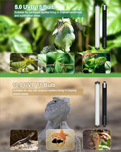 Miniatura 3 de Kit de luz para reptiles T5 UVB, lámpara de reptil T5 de 39 W con bombilla fluorescente UVB 10.0, lámpara de campana de terrario de 35 pulgadas