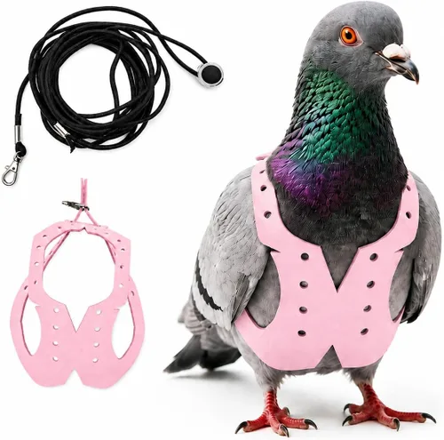 Miniatura 18 de Juego de arnés ajustable y correa para pájaros pequeños, apto para periquitos, conures, cacatúas, mejillas verdes, loros cuáqueros (verde, XS) 6350-6