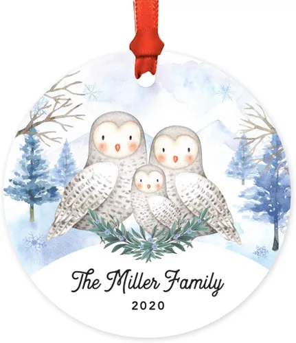 Miniatura 21 de Andaz Press Adorno redondo de recuerdo de Navidad, nuestro 10 aniversario 2025, búhos de nieve de invierno en acuarela, 1 paquete, incluye cinta