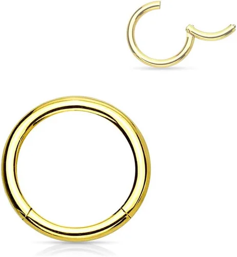 Miniatura 114 de Forbidden Body Jewelry - Piercing para la nariz de acero quirúrgico 316L con bisagra, 14G, 16G, 18G, diámetro de 15/64, 5/16, 25/64, 15/32 pulgadas