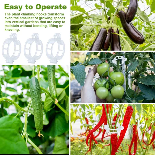 Miniatura 6 de 20 ganchos de tomate con cuerda, ganchos de soporte de tomate, ganchos de soporte de tomate y clips de soporte para plantas con cordel de 33.3 pies