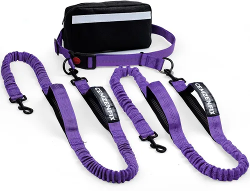 Miniatura 19 de Correa de perro manos libres con cinturón – Bungee sin tirones, asas acolchadas dobles y bolsa con cremallera para correr, caminar y entrenar