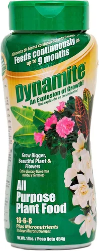 Dynamite 605951 Alimento multiusos para plantas de interior y exterior, 1 libra
