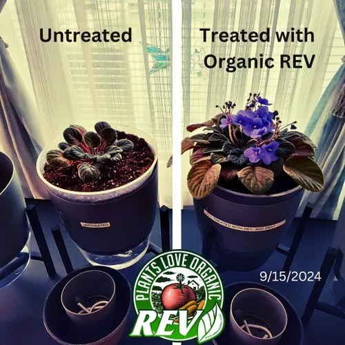 Miniatura 5 de Organic REV - Alimento vegetal natural de 32 onzas para plantas más saludables