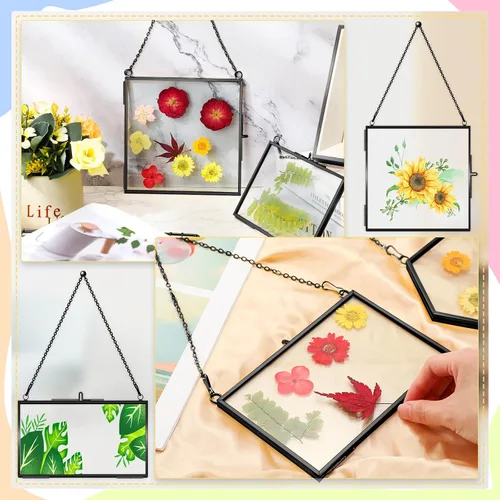 Miniatura 5 de Tuanse 6 marcos de vidrio de latón para flores prensadas, transparente de doble vidrio flotante, marcos de fotos colgantes con cadena