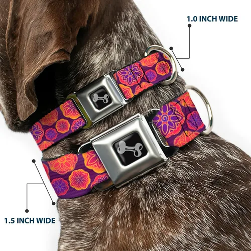 Miniatura 2 de buckle-down 13 – 18" Boho Mandala morados/Naranjas/PINKS perro collar HUESO, Wide pequeñas