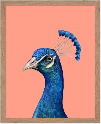 Miniatura 62 de Poster Master Vintage James Audubon Póster - Impresión Retro de Cuervo - Arte de Aves de América - Arte de Aves - Regalo para Hombres, Mujeres