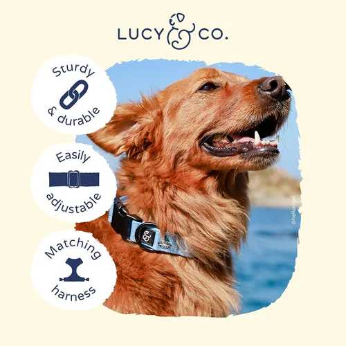 Miniatura 3 de Lucy & Co. Set Sail - Collar ajustable para perro, lindo collar de diseñador para perros pequeños, medianos y grandes, accesorios para perros