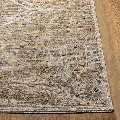 Miniatura 4 de Hauteloom Kunzite - Alfombra de área para sala de estar, dormitorio, borde de medallón floral geométrico envejecido, tradicional oriental de Marrón