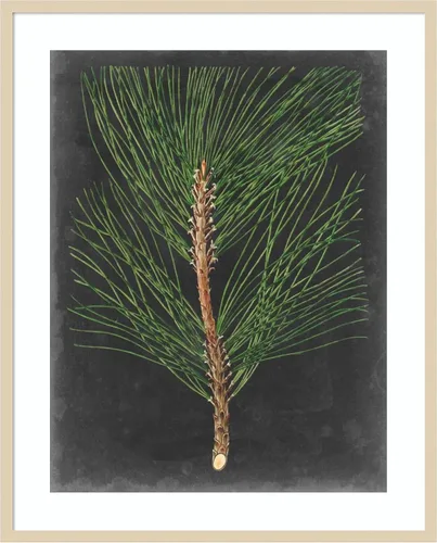 Miniatura 6 de Amanti Art Impresión artística enmarcada para pared, 44 x 36 pulgadas, dramático pino I de Vision Studio, arte de pared de naturaleza, decoración