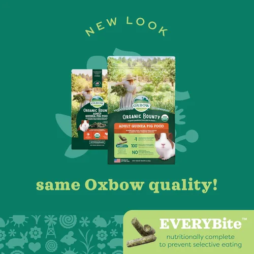 Miniatura 6 de Oxbow Organic Bounty - Alimento para conejillo de indias adulto, pellets orgánicos de conejillo de indias hechos con heno Timothy, vitamina C